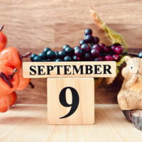 9月10月診察スケジュール